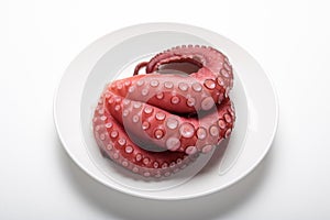 Japanese Sashimi - Tako Octopus