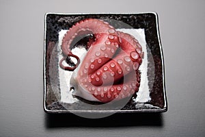 Japanese Sashimi - Tako Octopus photo