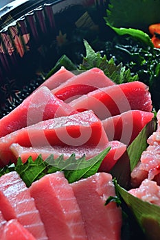 Japanese sashimi platter tuna Premium Otoro fish