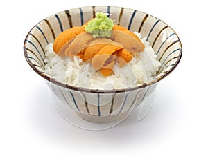 Japanese sea urchin roe on rice