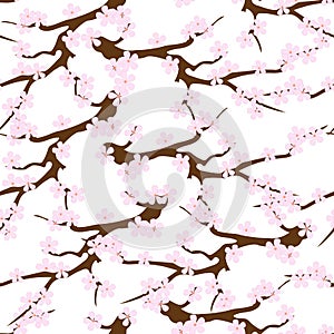 Japanese seamless pattern with sakura branches. Gentle vector endless texture on a white background, dough for fabric, bedding and