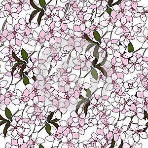 Japanese seamless pattern with sakura branches. Gentle vector endless texture on a white background, dough for fabric, bedding and