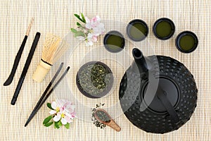 Japanese Sencha Tea Ceremony