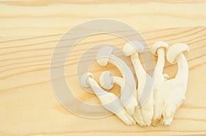 Japanese Shimeji mushroom