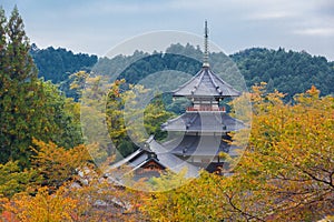 Japanese Shinto shrine in Autumn