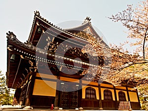 Japanese Shinto shrine with cherry blossom photo