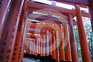 Japanese shinto shrines - Fushimi Inari-taisha, Kyoto