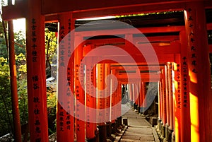 Japanese shinto shrines - Fushimi Inari-taisha, Kyoto