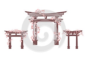 Japanese shinto torii gate decorated with spring sakura blossom branches vector design set