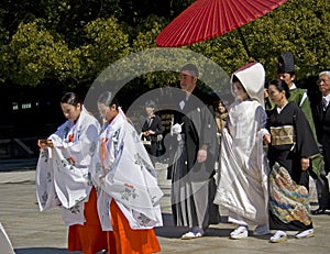 Japanese shinto wedding ceremony