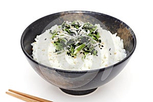 Japanese Shirasu and takana vegetable on rice