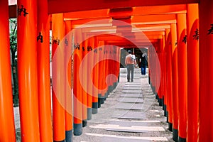 Japanese shrine Kushida-jinja, Torii gate in Fukuoka, Japan