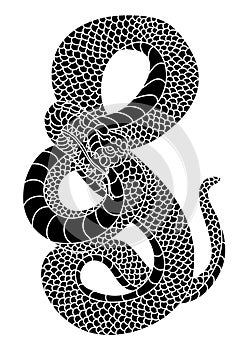 Japanese snake vector for printing on paper and for tattoo design.