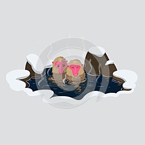 Japanese snow macaques bask in a hot spring vector illustration