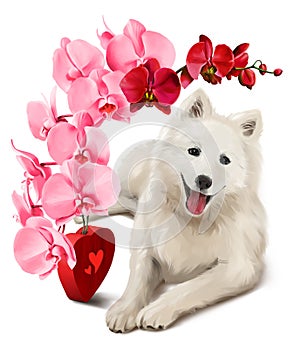 Japanese Spitz and a bouquet of flowers