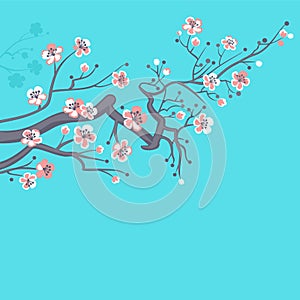 Japanese spring, cherry blossoms.