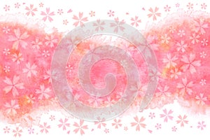 Japanese spring pink cherry blossom abstract on natural watercolor paint background