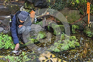 Japanese squatting by a pond making a shinto purification ritual at Kawagoe Hikawa shrine in winter.