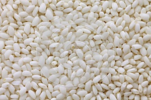 Japanese sticky rice  Mochigome