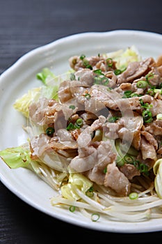 Japanese stirfried meat and vegetables