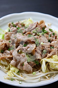 Japanese stirfried meat and vegetables