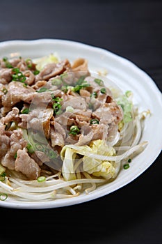 Japanese stirfried meat and vegetables