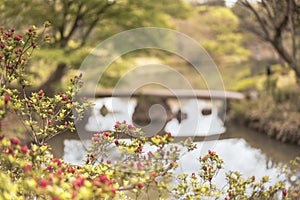 Japonec kámen most a květiny na rybník z 