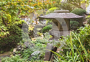 Japanese stone lantern surrounded by momiji maple tree in Tamonji temple.
