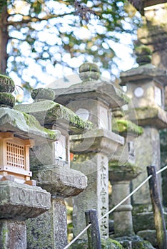 Japanese stone lantern Toro at Kasuga Taisha, Kasuga Grand Shrine. Next to Todaiji Temple