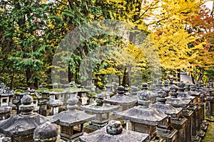 Japanese Stone Lanterns