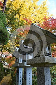 Japanese Stone Lanterns with Colourful Maple Trees