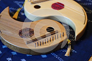 Japanese stringed instrument Makoto