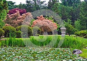 Japanese Stroll Garden photo