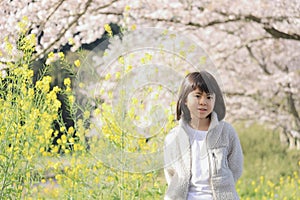 Japanese student girl and cherry blossoms and field mustard photo