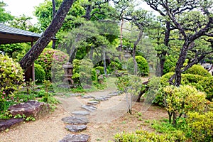 Japanese style garden in Japan