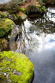 Japanese style garden pond or stream