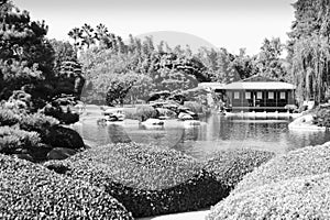 Japanese Style Garden with Teahouse