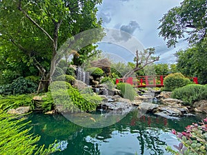 Japanese style garden. Waterfall, red bridge and Koi fish pond in the tropical garden.