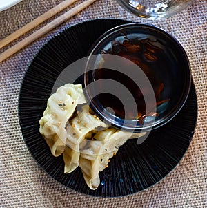 Japanese style gyoza dumplings