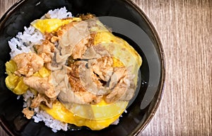 Japanese Style Omelet over Steam rice with Pork Pan-fried with G