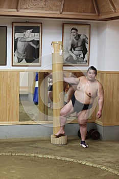 Japanese sumo at sumo training
