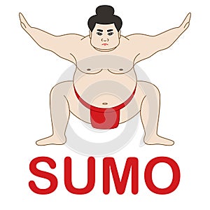 Japanese Sumo Wrestler