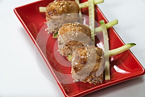 Japanese sushi rolls on a red plate. close view