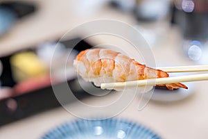 Japanese sushi set. Shrimp sushi on chopsticks