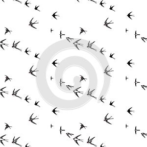 Japanese swallow pattern