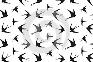 Japanese swallow pattern photo