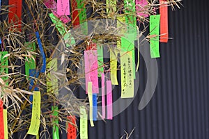 Japanese Tanabata Festival