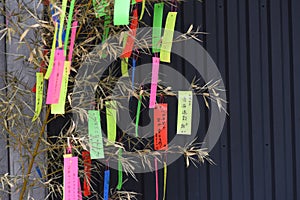 Japanese Tanabata Festival