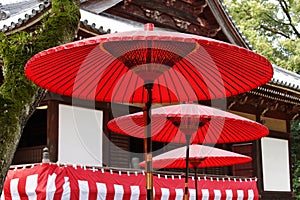 Japanese tea ceremony in the garden