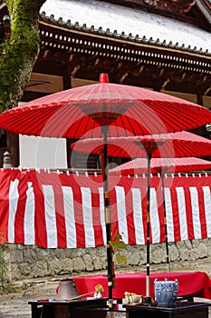 Japanese tea ceremony in the garden